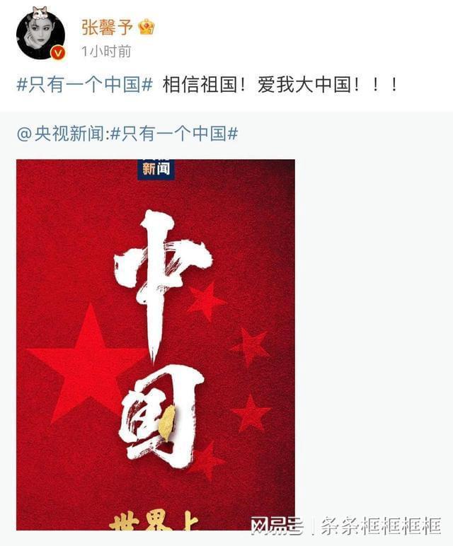 透视行业动态,加入狗狗主食罐头应该怎么选择?可以推荐几种品质高又不贵的嘛?知识星球,开启知识共享之旅