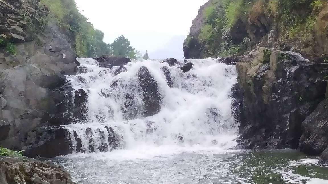 小犀牛救援